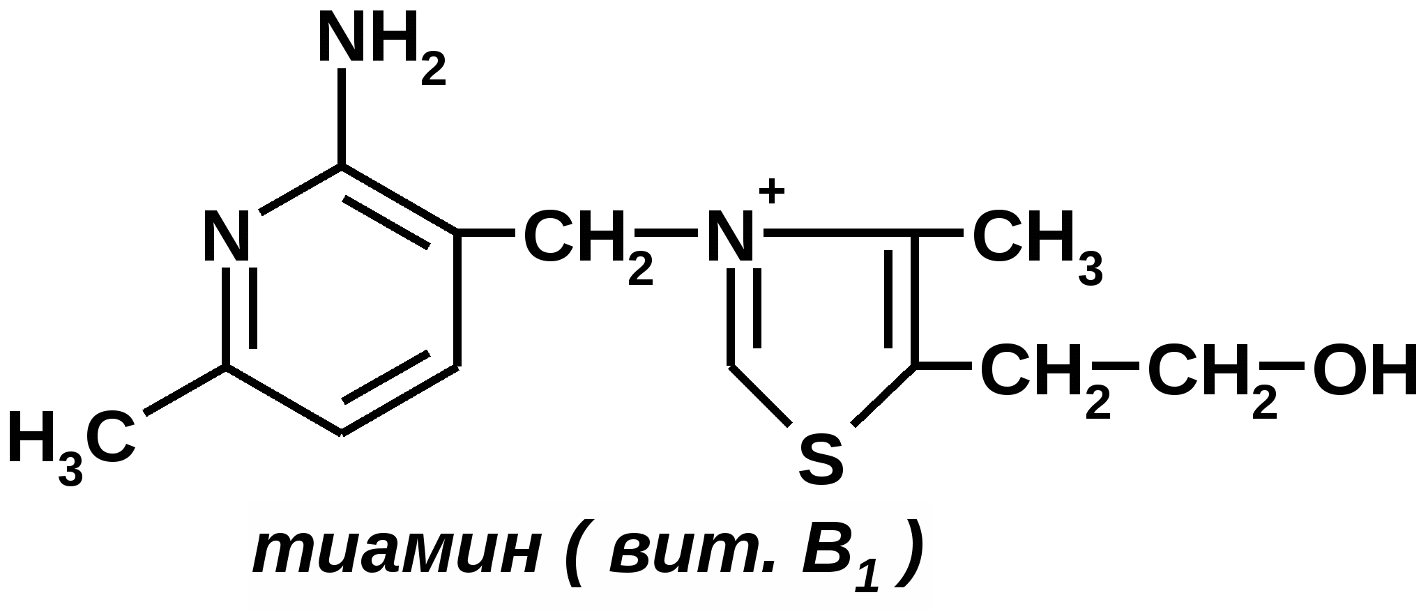 Строение формула 1. Витамин в1 тиамин формула. Витамин в1 химическая формула. Витамин в1 структурная формула. Витамин в1 структура.