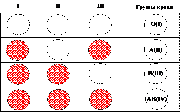 Цоликлоны для определения группы крови таблица. Схема определения группы крови с помощью цоликлонов. Цоликлон группа крови резус. 2 Группа крови Цоликлоны.