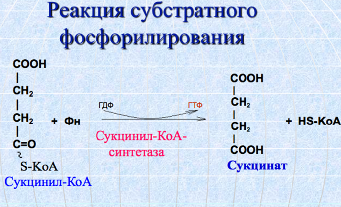 1 Реакция субстратного фосфорилирования гликолиз. Примеры реакций субстратного фосфорилирования. Реакции субстратного фосфорилирования в гликолизе и цикле Кребса. Реакция субстратного фосфорилирования в общем виде.