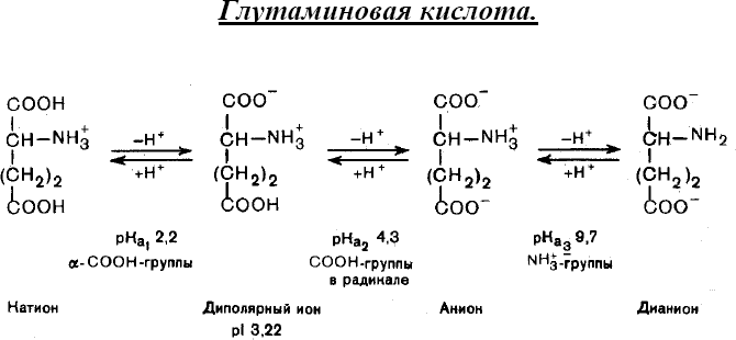 § 2 Номенклатура аминокислот