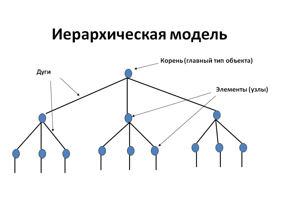 Теория структуры данных. Иерархическая модель базы данных. Иерархическая модель без данных. Иерархическая база данных. Иерархическая модель данных.. Иерархический Тип базы данных.