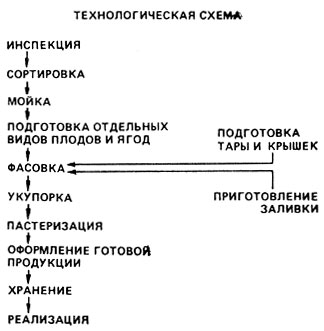 Компот из смеси сушеных фруктов