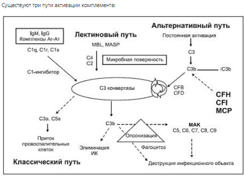 Эозинофильный нейротоксин в стуле