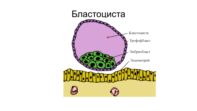 Лекция 15
