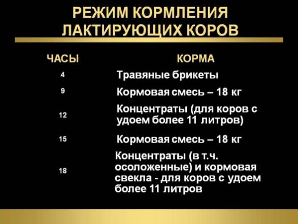 Режим вскармливания. Режим кормления коров. Режим кормления коров в сутки. График кормления коровы. Кормление лактирующих коров.