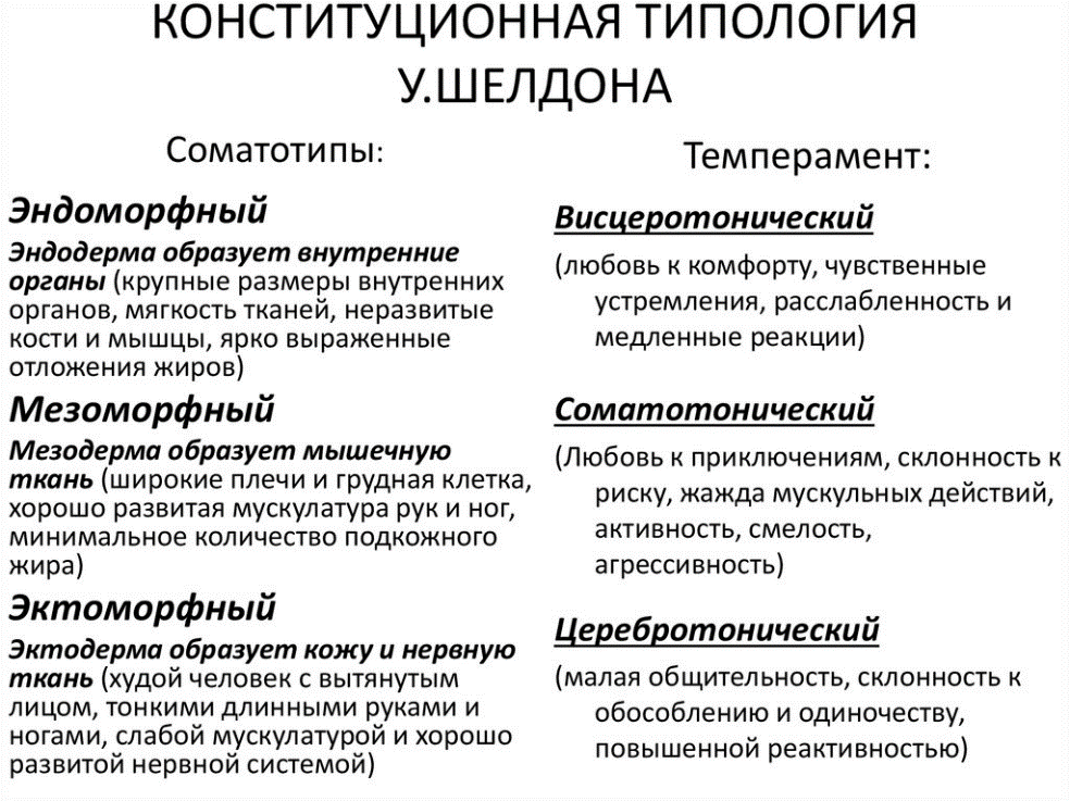 Теории характера человека. Конституционный подход Шелдона. Типология Шелдона. Схема типология конституций Шелдона. Конституционные типологии характера э Кречмера, у Шелдона.