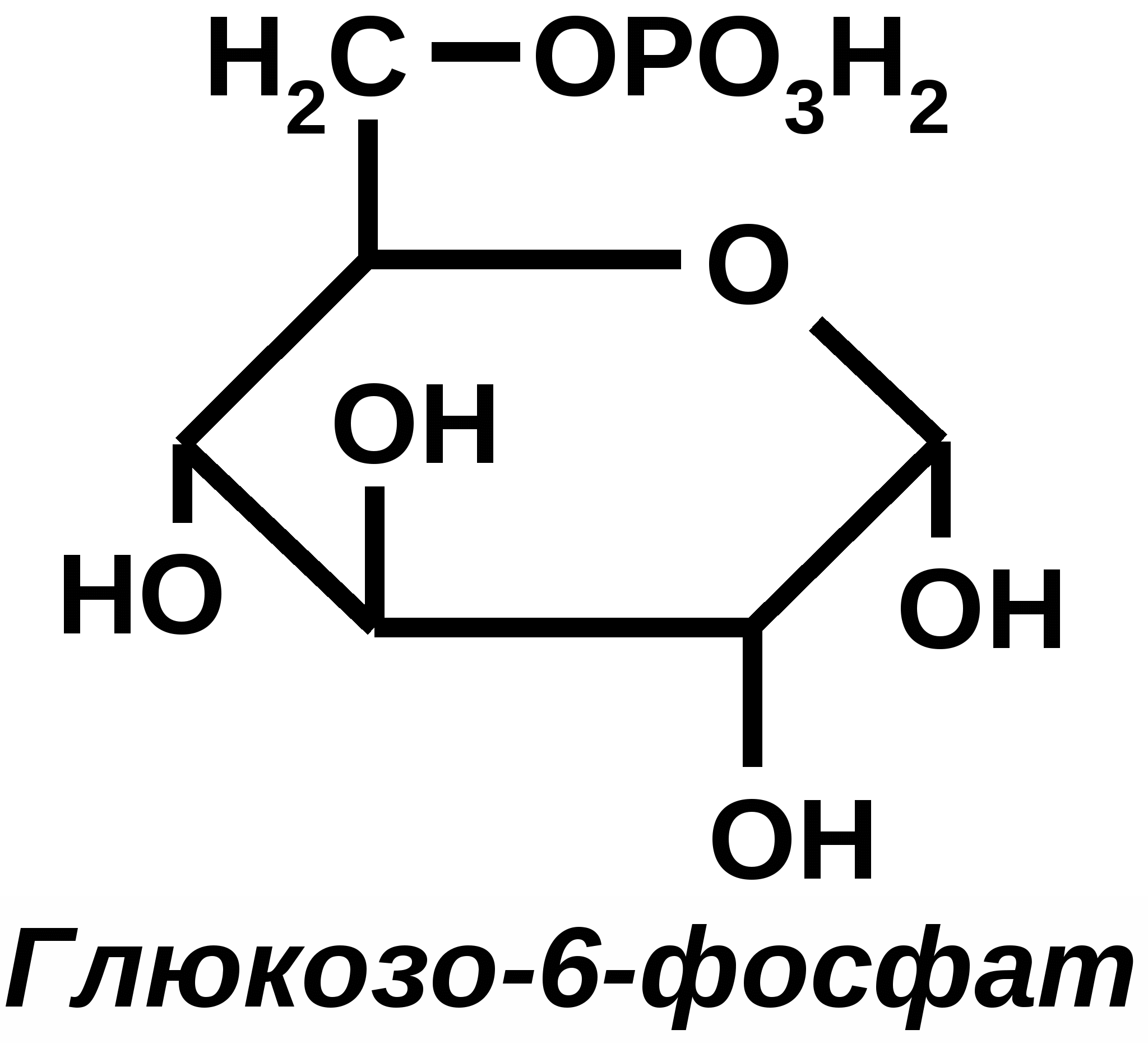 5 формула глюкозы. Глюкоза в глюкозо 6 фосфат. D Глюкоза 6 фосфат. Структурная формула Глюкозы 6 фосфат. Глюкоза 6 фосфатструктурная формула.