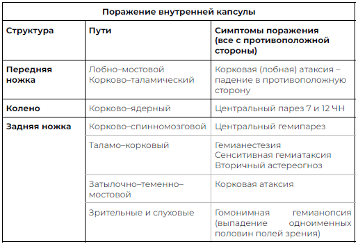 Кортикоспинальный путь