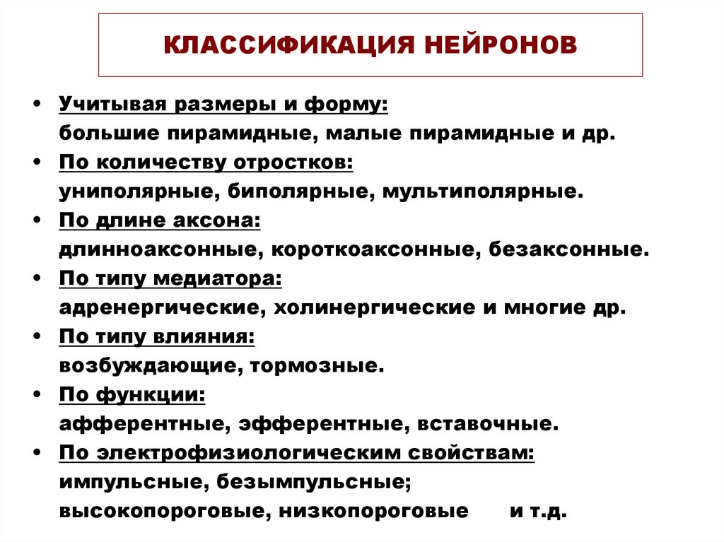 104. Понятие о нейроне (нейроците).