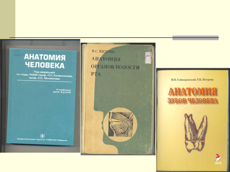 Анатомия пособие для вузов. Анатомия человека учебник для медицинских вузов.