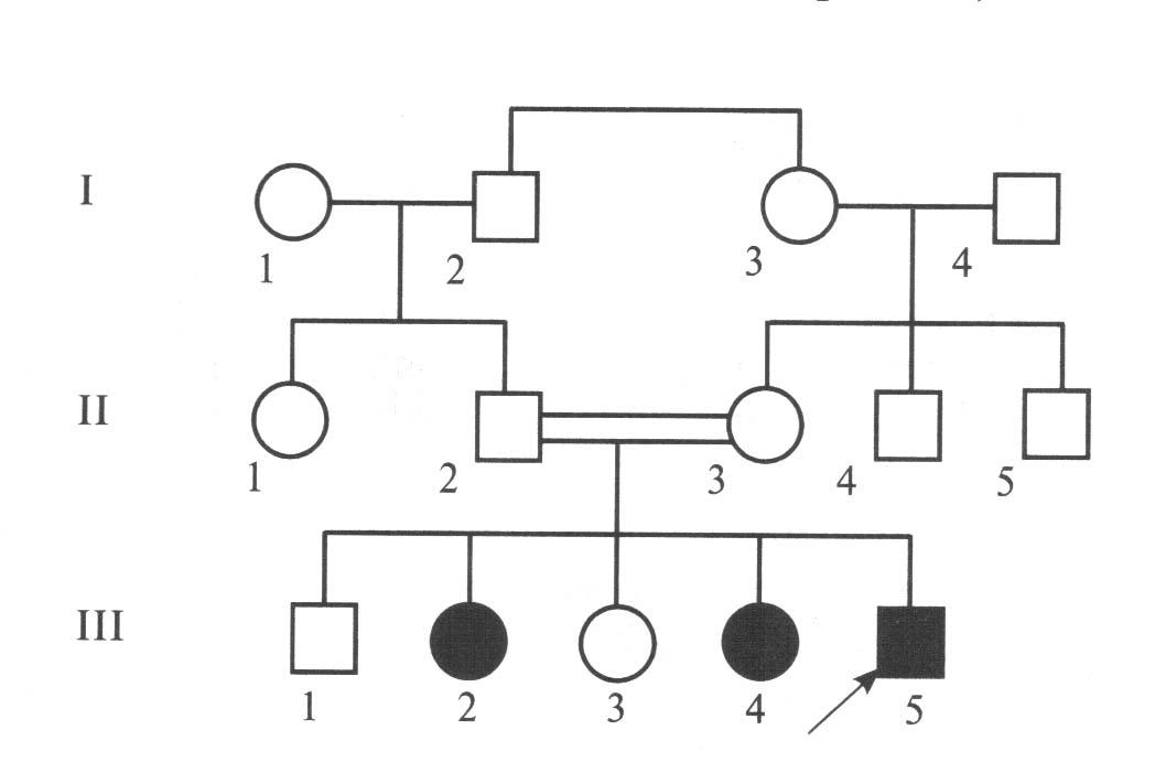 Определите Тип наследования генотип. Наследование цвета волос. Родословная определите вероятность рождения организма 1. Генотип настольная игра.