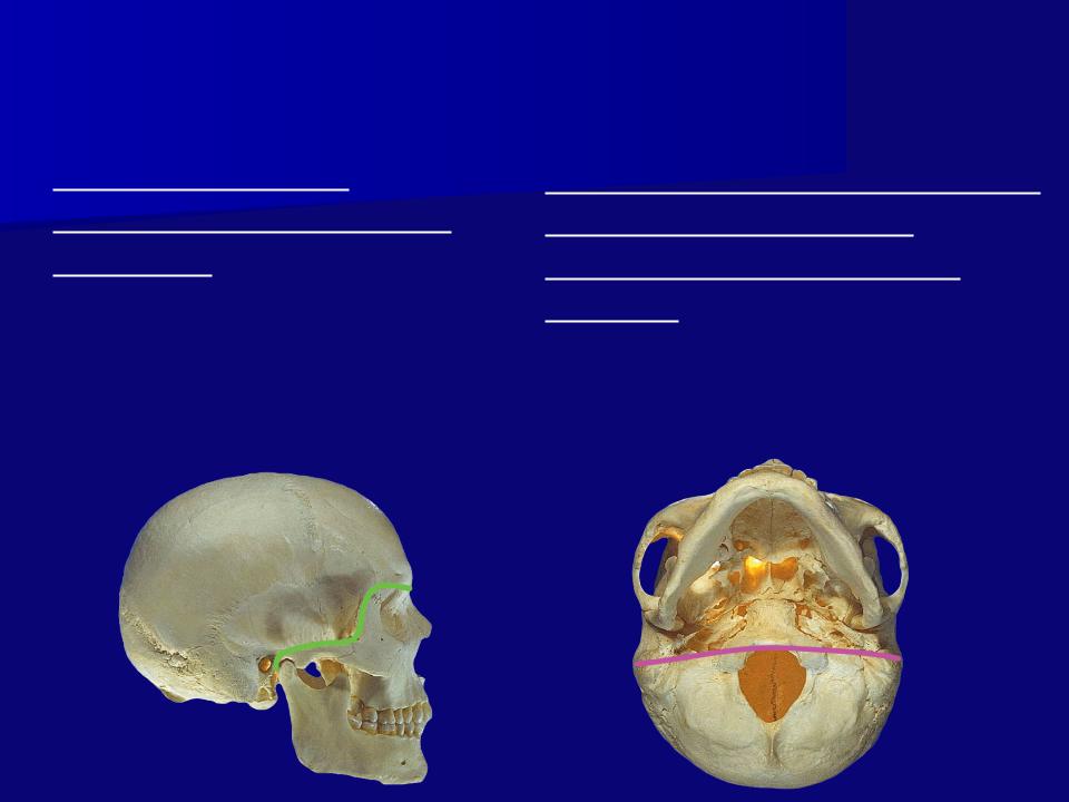 Мозговая лицевая часть черепа. Граница мозгового и лицевого отделов черепа. Свод черепа и основание черепа граница. Границы свода черепа. Мозговой череп свод и основание.