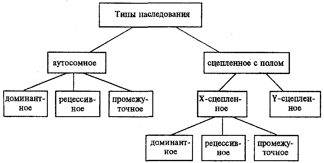 Наследственные признаки биология