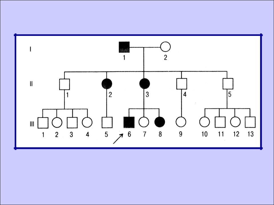 Схемы родословных по генетике