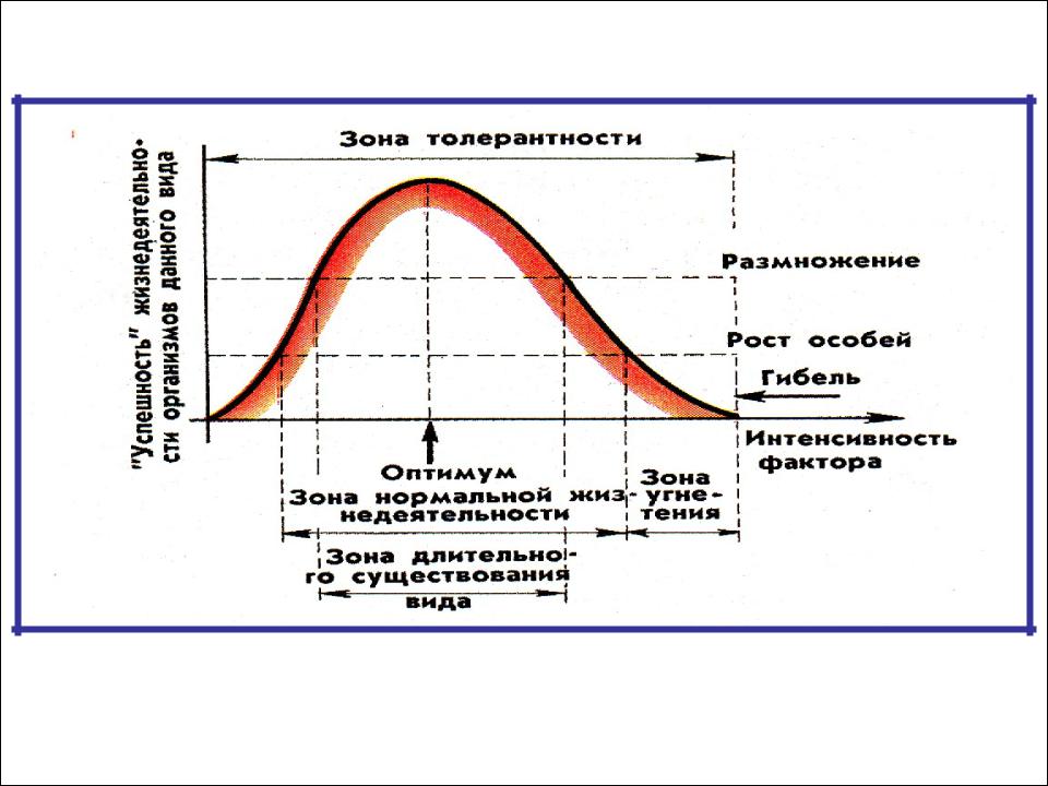 Интенсивность фактора. Зона толерантности примеры. Степень интенсивности фактора. Зависимость между жизнедеятельностью вида и интенсивностью.