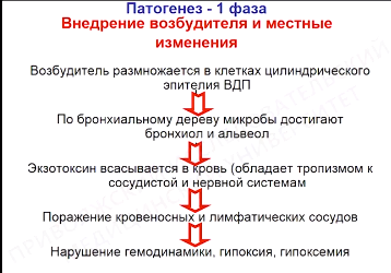 Ситуационная задача по коклюшу