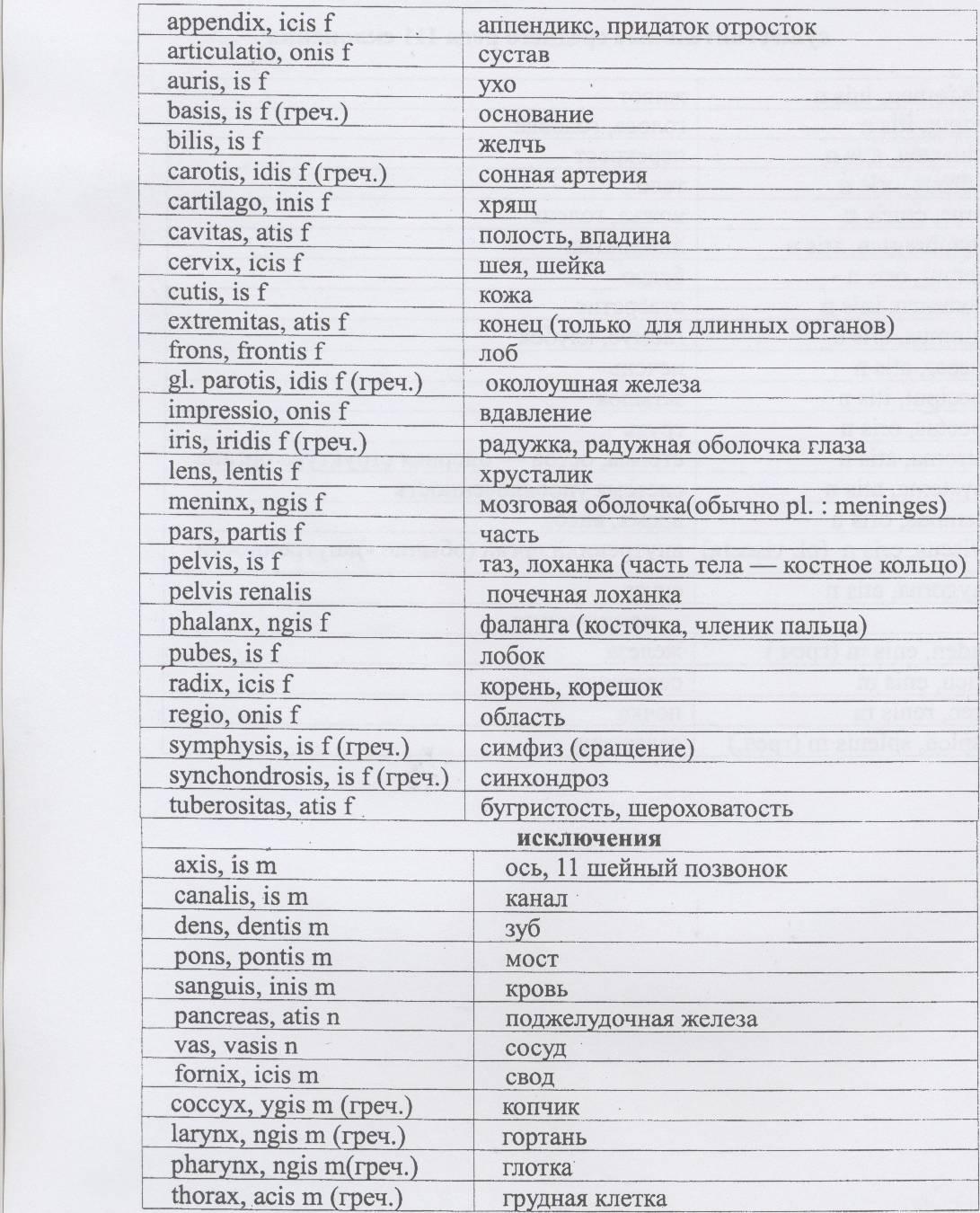 Греческие терминоэлементы. Лексический минимум латинский язык. Латинский лексический минимум. Лексический минимум латинский для медиков. Лексический минимум по латинскому языку для медиков.