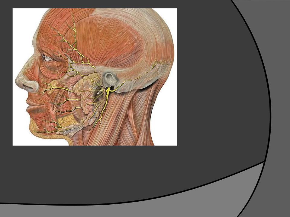 Околоушная железа. Околоушная слюнная железа нерв. Топография околоушной слюнной железы. Лицевой нерв околоушная железа.