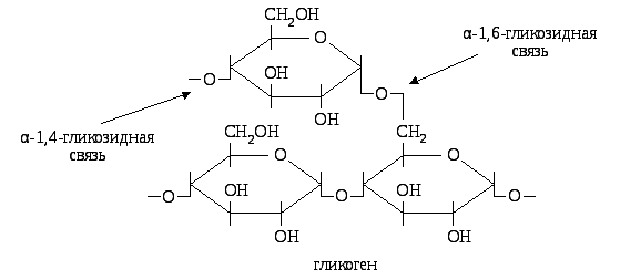 Полисахарид в мышцах и печени. Строение гликогена формула. Гликоген строение. Гликоген строение химия. Структурная формула гликогена биохимия.