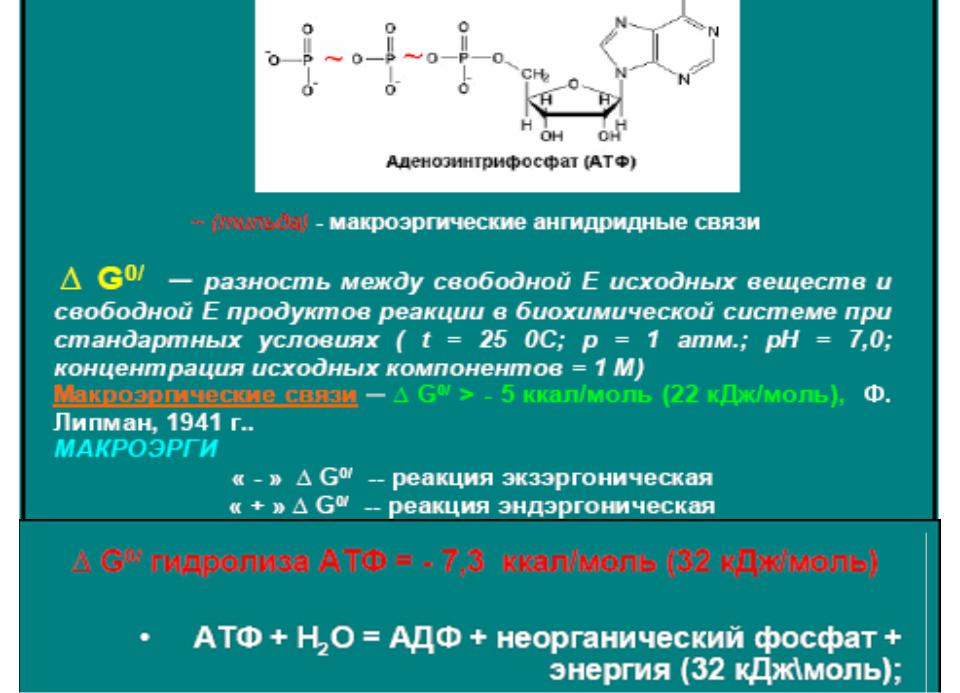 Молекула атф макроэргические связи. Ангидридная связь в АТФ. Макроэргическая ангидридная связь. Фосфоангидридные связи. Ангидридное основание что это.