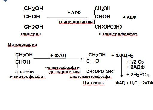 Схема окисление глицерина