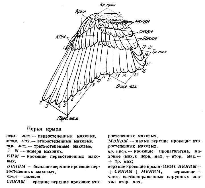 Журнал - Интернет-журнал 