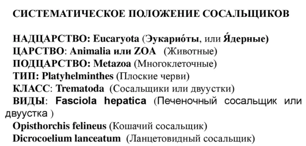 Ботаника классификация растений: найдено 82 картинок