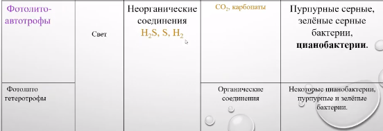 Типы питания микроорганизмов