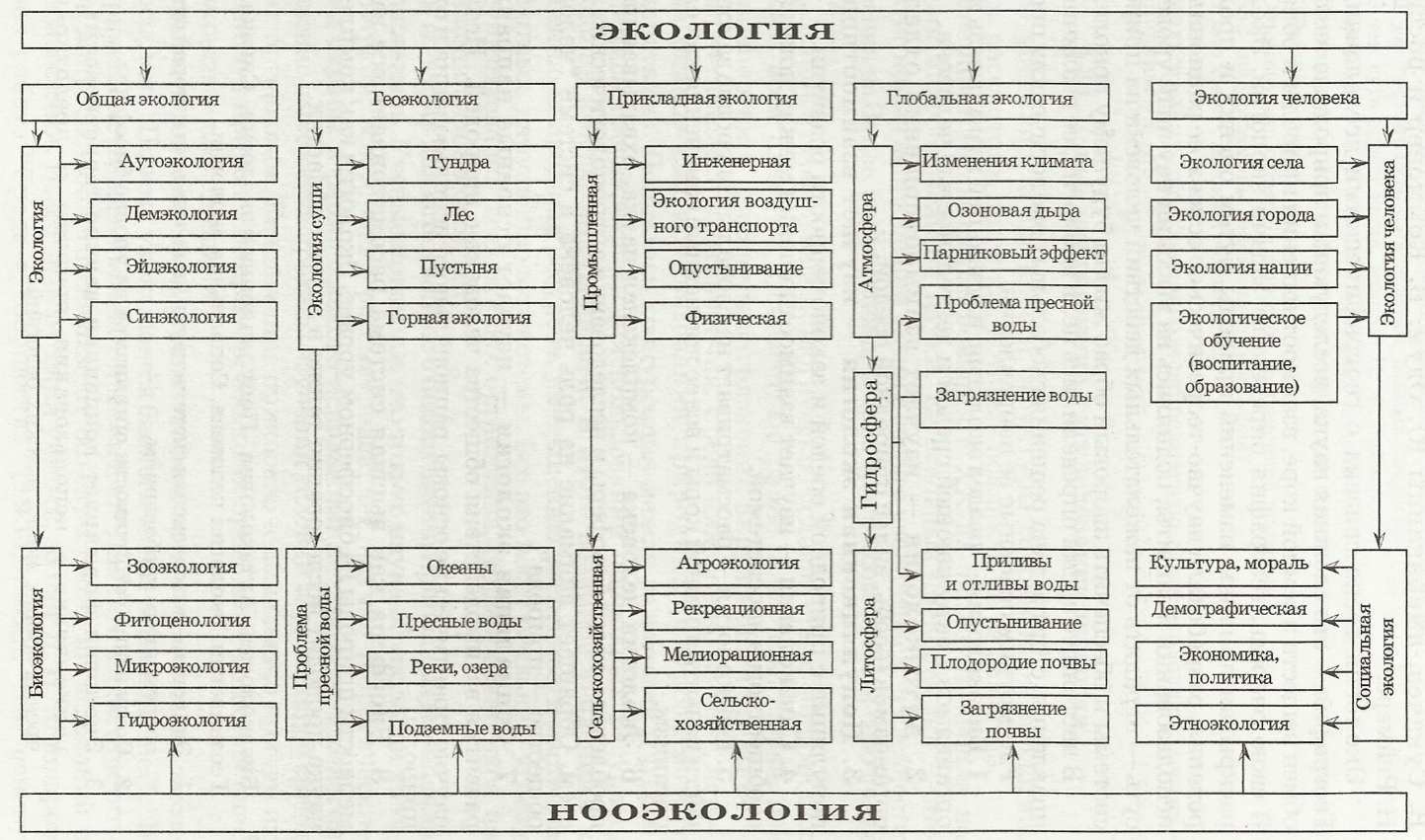 Модель сохранения окружающей среды в виде схемы