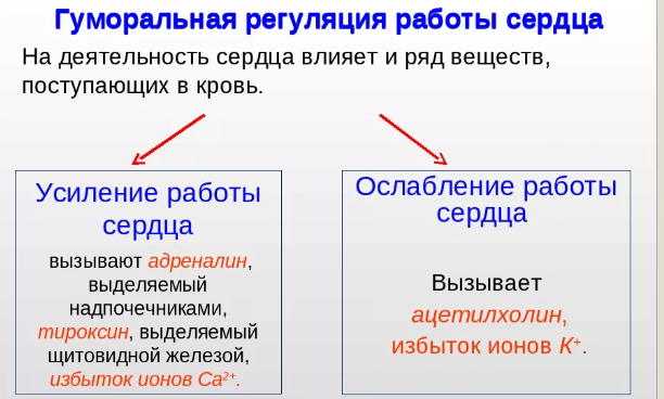 Гетеросексуальность | Информация о ЛГБТ по-русски | Fandom