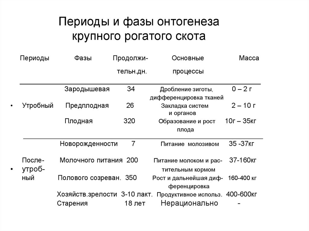 Продолжительность периода. Сроки эмбрионального развития КРС. Стадии внутриутробного развития КРС. Стадии развития КРС. Стадии развития плода КРС.