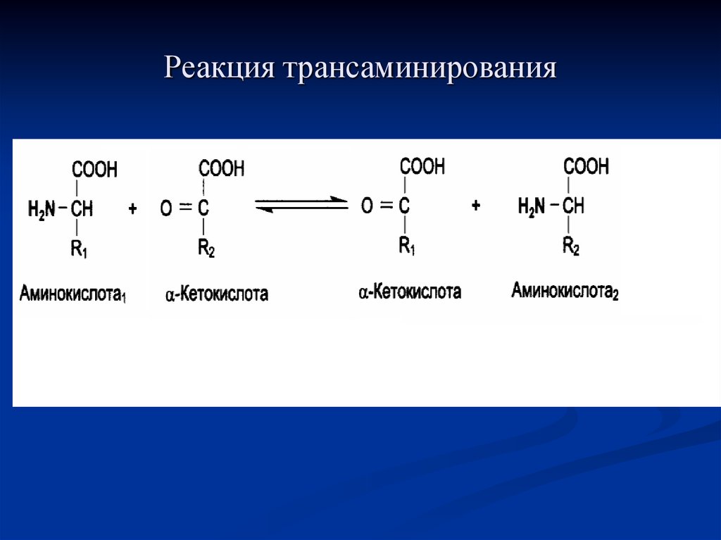 Аминокислота образуется в процессе. Механизм реакции трансаминирования аминокислот. Трансаминирование аминокислот механизм. Трансаминирования аспарагиновой кислоты. Реакции трансаминирования Альфа-аланина.