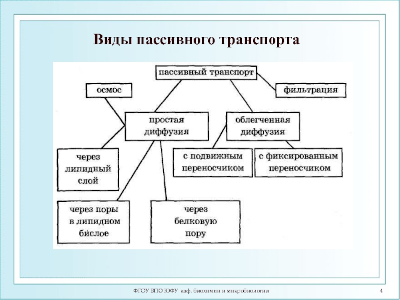 Активные и пассивные виды деятельности