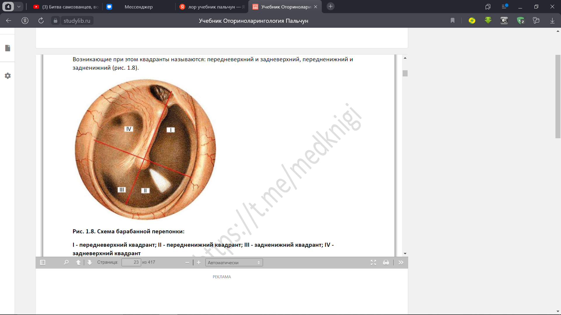 2. Строение барабанной перепонки. Опознавательные пункты барабанной ...