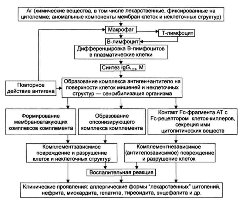 Цитотоксические аллергические реакции. Аллергические реакции 2 типа клинические проявления. Патогенез реакций 2 типа. 2 Тип аллергической реакции механизм. Клиническая форма III типа аллергической реакции:.