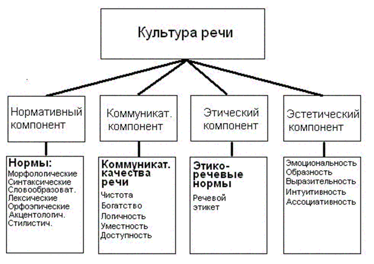 Схема язык и культура. Основные составляющие культуры речи. Три компонента культуры речи. 1. Основные понятия культуры речи. Понятие о культуре речи и её основные элементы.